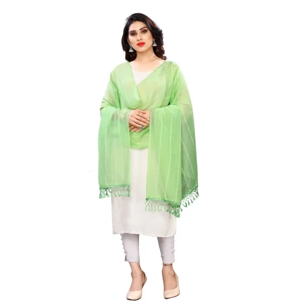 51955871421_2700b00b57_o_d-1000x1000-1.webp Generic Women's Cotton Silk Strips Printed Dupatta (Parrot Green, Length:2-2.4 mtr)