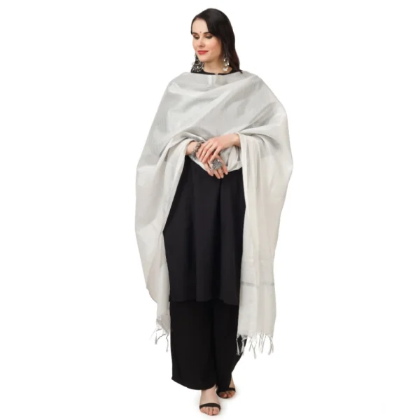 53509244567_a882e3fa83_o_d-1000x1000-1.webp Generic Women's Chanderi Solid Dupatta (White, Length: 2.25 to 2.50 Mtr)