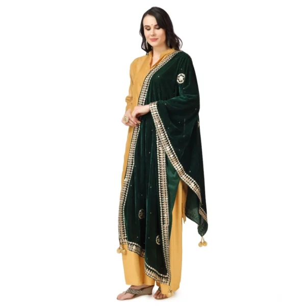 53510132221_e804096fcc_o_d-1000x1000-1.webp Generic Women's Velvet Gotta Patti Dupatta (Green, Length: 2.25 to 2.50 Mtr)