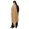 53510135511_80be9c7082_o_d-1000x1000-1.webp Generic Women's Chanderi Solid Dupatta (Gold, Length: 2.25 to 2.50 Mtr)