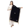 53510300423_50eb270f80_o_d-1000x1000-1.webp Generic Women's Velvet Gotta Patti Dupatta (Blue, Length: 2.25 to 2.50 Mtr)