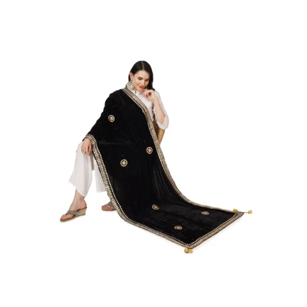 53510451939_ae9e86a1a7_o_d-1000x1000-1.webp Generic Women's Velvet Gotta Patti Dupatta (Black, Length: 2.25 to 2.50 Mtr)