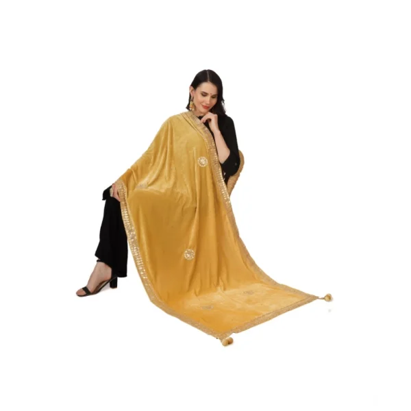53510565950_e4f172bf3d_o_d-1000x1000-1.webp Generic Women's Velvet Gotta Patti Dupatta (Yellow, Length: 2.25 to 2.50 Mtr)