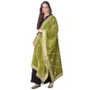 53512022981_9436216557_o_d-1000x1000-1.webp Generic Women's Velvet Gotta Patti Dupatta (Olive, Length: 2.25 to 2.50 Mtr)