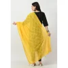 53768520903_d6fb17cf22_o_d-1000x1000-1.webp Generic Women's Chanderi Self Design Dupatta (Yellow, Length: Free Size)