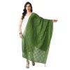 53768742445_a49775e07d_o_d-1000x1000-1.webp Generic Women's Chanderi Self Design Dupatta (Mehandi, Length: Free Size)