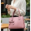 PID-65130-Generic-Women-s-PU-Leather-Solid-Shoulder-Zipper-Handbag-Pink-5-1000x1000-1.webp Women's PU Leather Solid Shoulder Zipper Handbag (Pink)